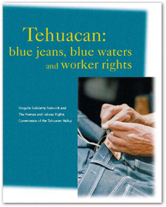 Tehuacan cover
